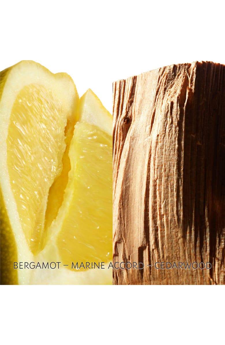 Yves Saint Laurent L'Homme Cologne Bleue Eau de Toilette, Alternate, color,