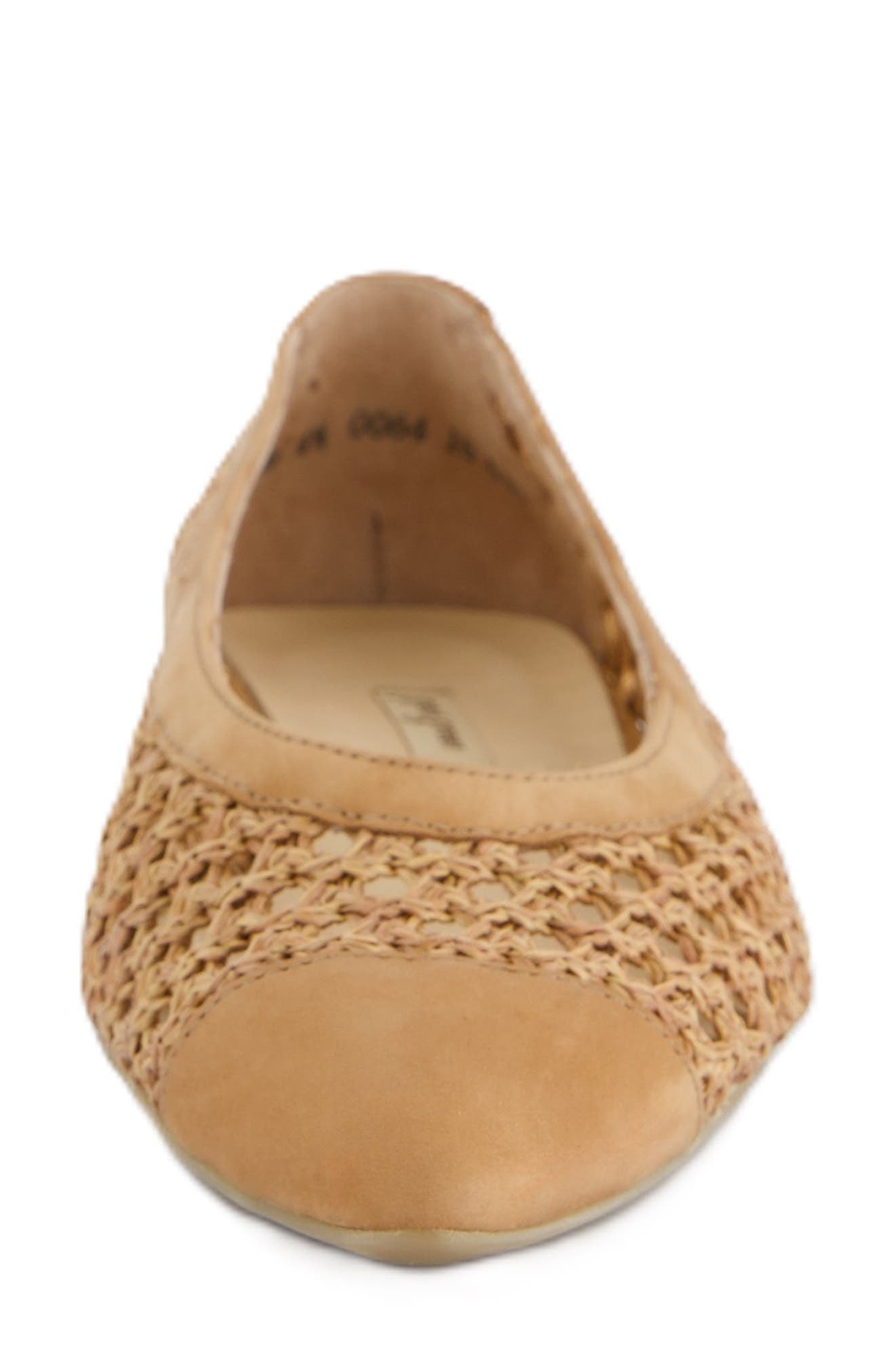 Paul Green Daisy Pointed Toe Flat, Alternate, color, Sisal Diva Combo