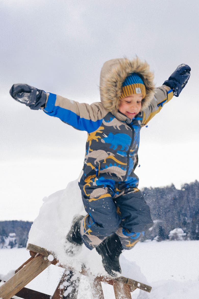 Play Dinosaur Faux Fur Hood Fleece Neckwarmer One Piece Snowsuit, Alternate, color, Grey and Blue Dinosaur Print