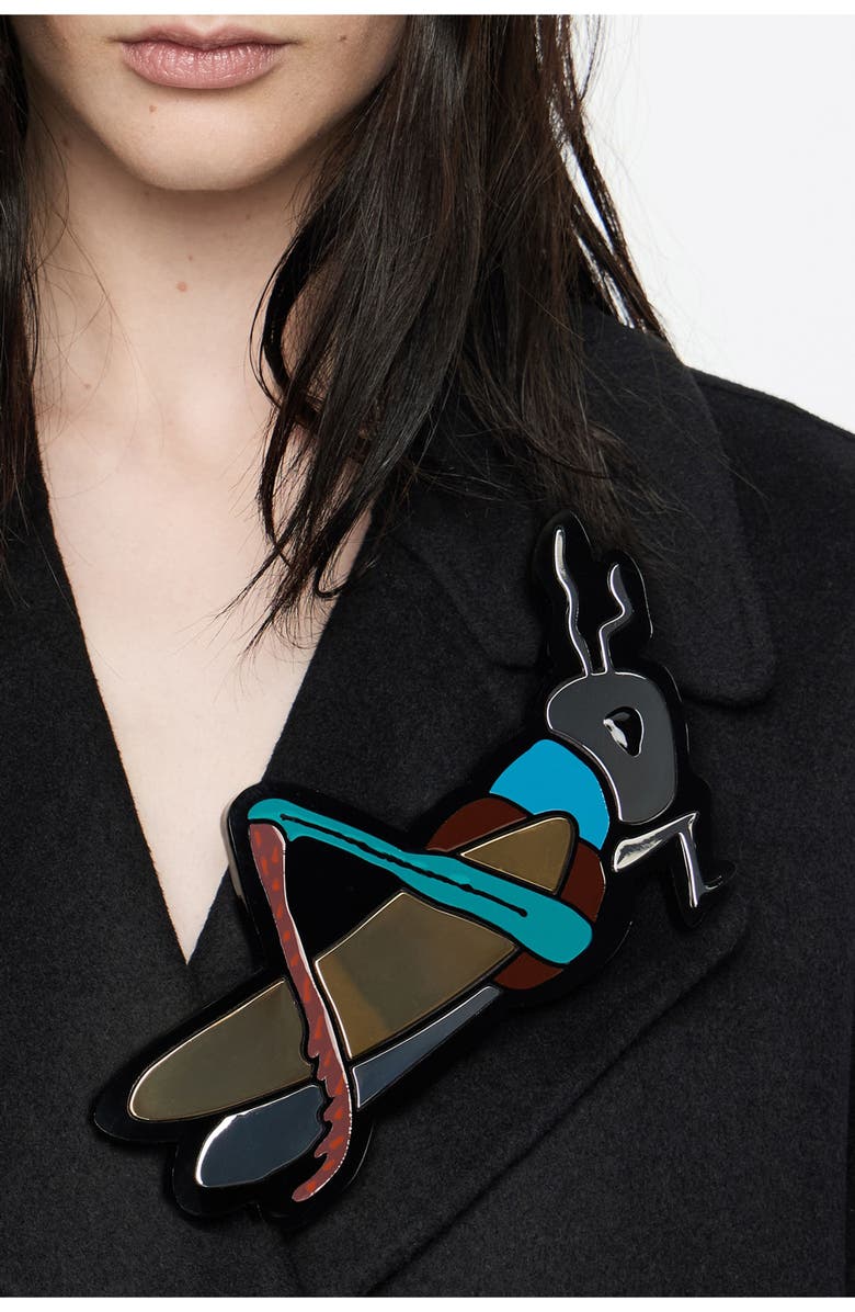 Bimba y Lola Resin Cricket Maxi Brooch, Alternate, color, 