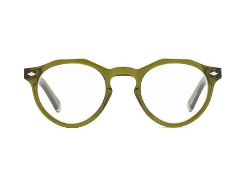 Caddis Dogleg | Reading Glasses