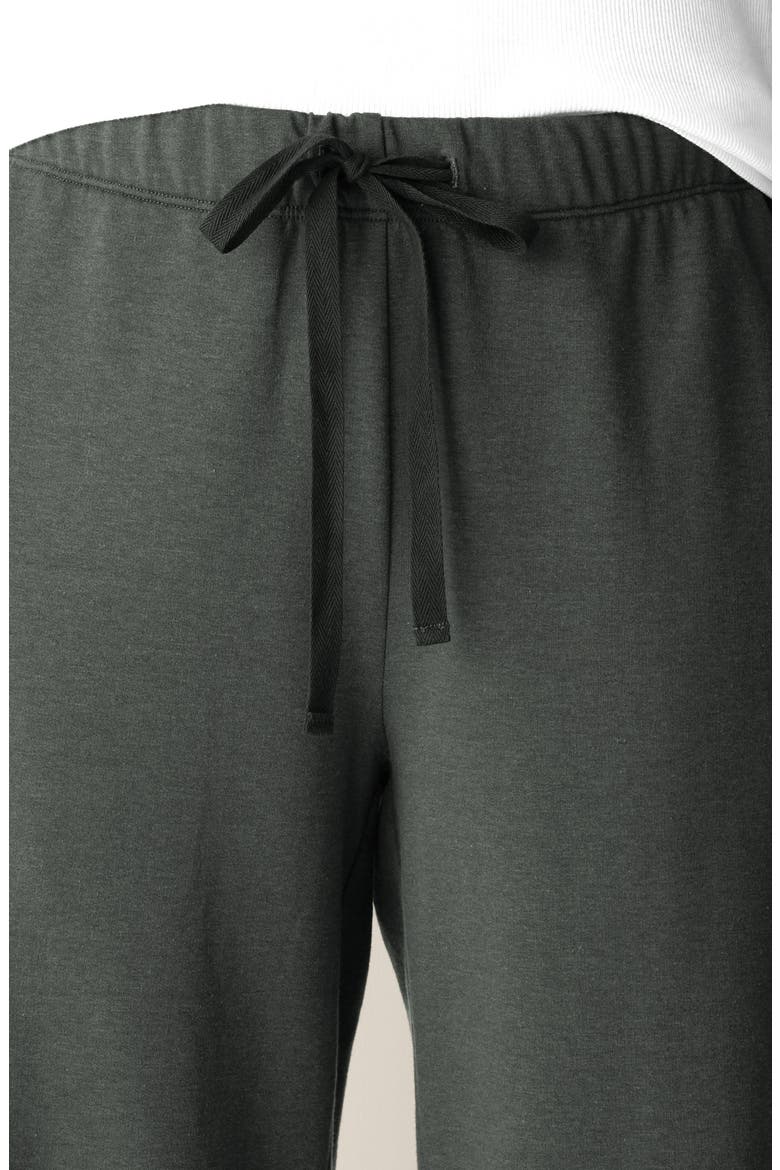 Straight Full Length Pants, Alternate, color, SYLVAN