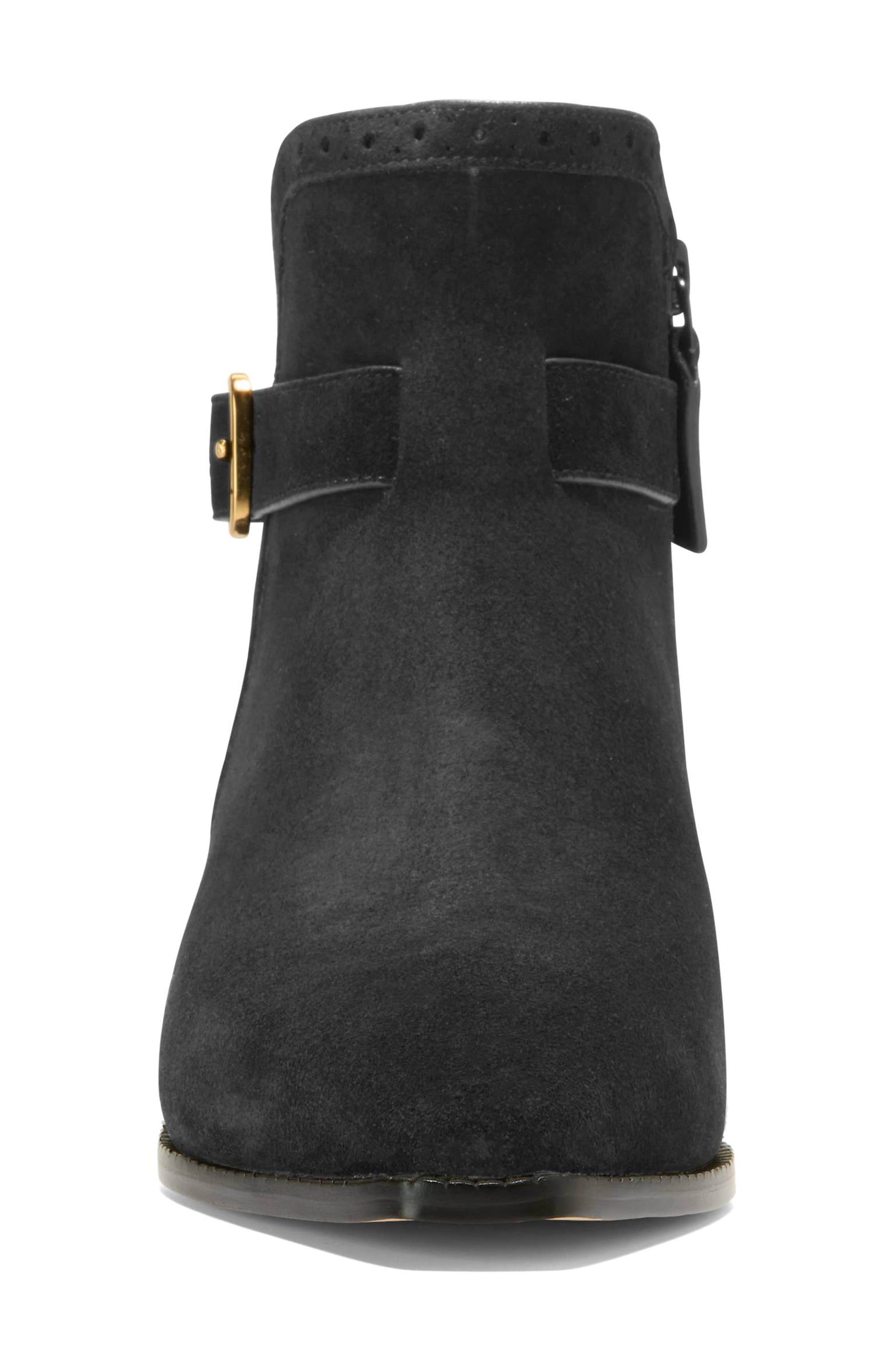 Cole Haan Norella Buckle Bootie, Alternate, color, Black Suede