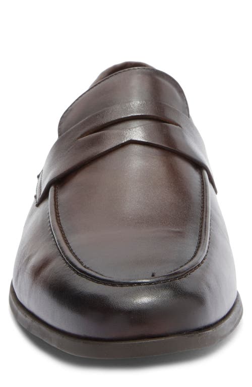 Steve Madden Pomona Penny Loafer In Brown