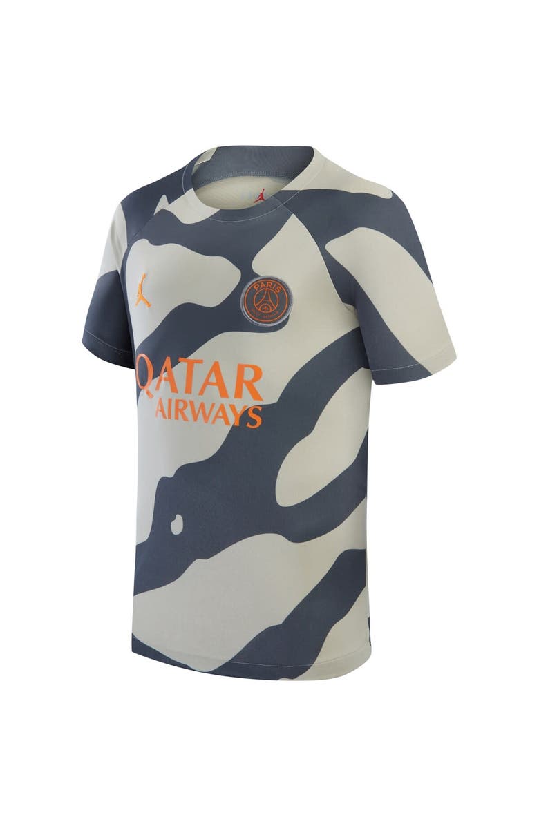 Jordan Brand Youth Jordan Brand Gray Paris Saint-Germain 2023/24 Academy Pro Performance Pre-Match Top, Alternate, color, Gray