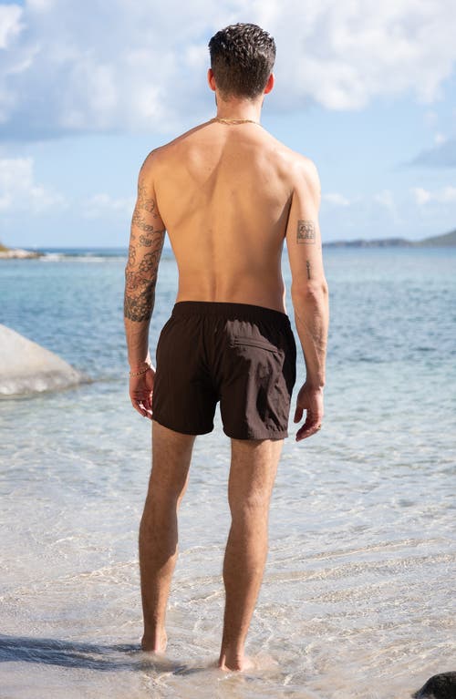 Auto-reply™ Sebastian Solid 4-inch Nylon Swim Trunks In Brown