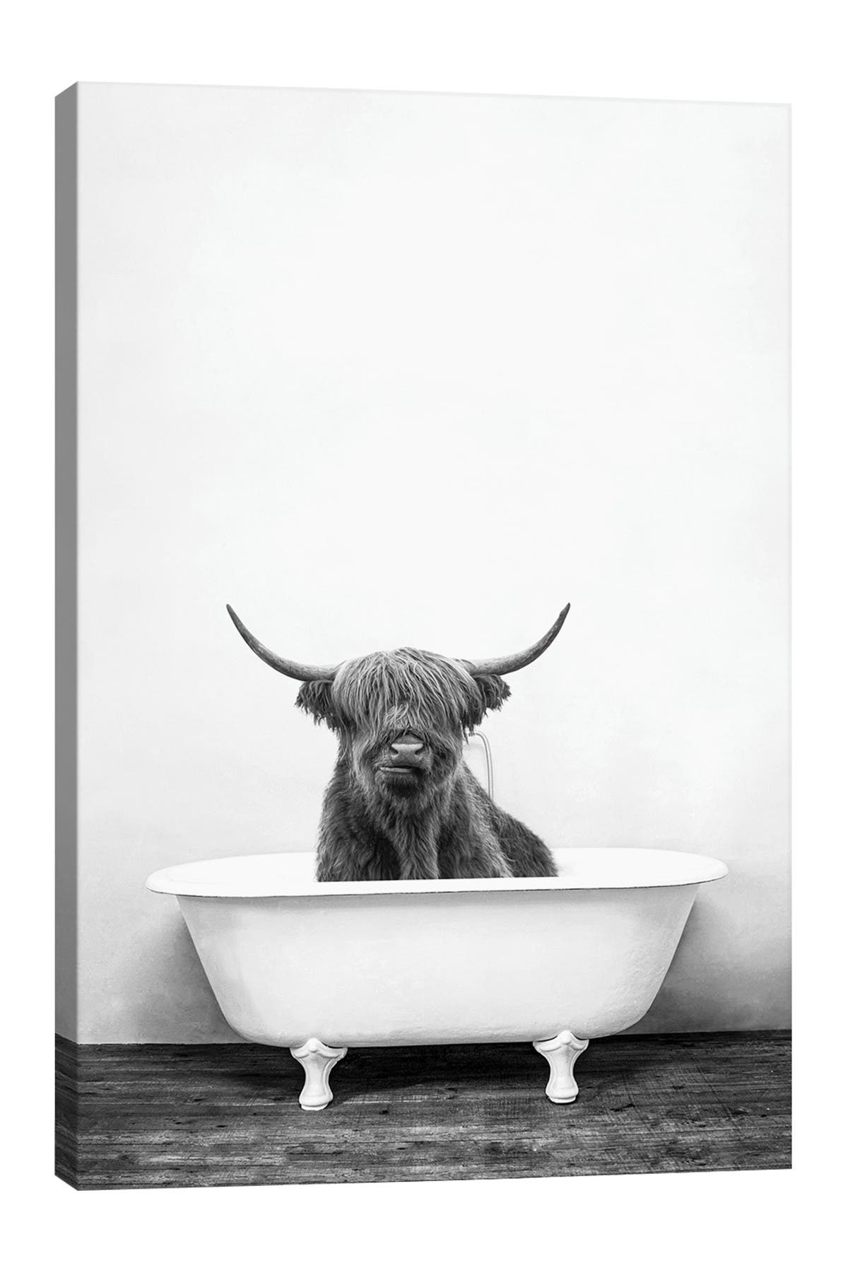 iCanvas Highland Cow In Bathtub Black And White by Amy Peterson Canvas ...