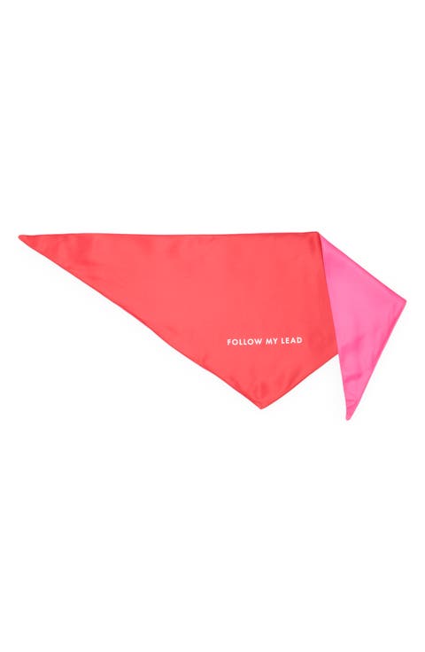 Large Dog Bandana