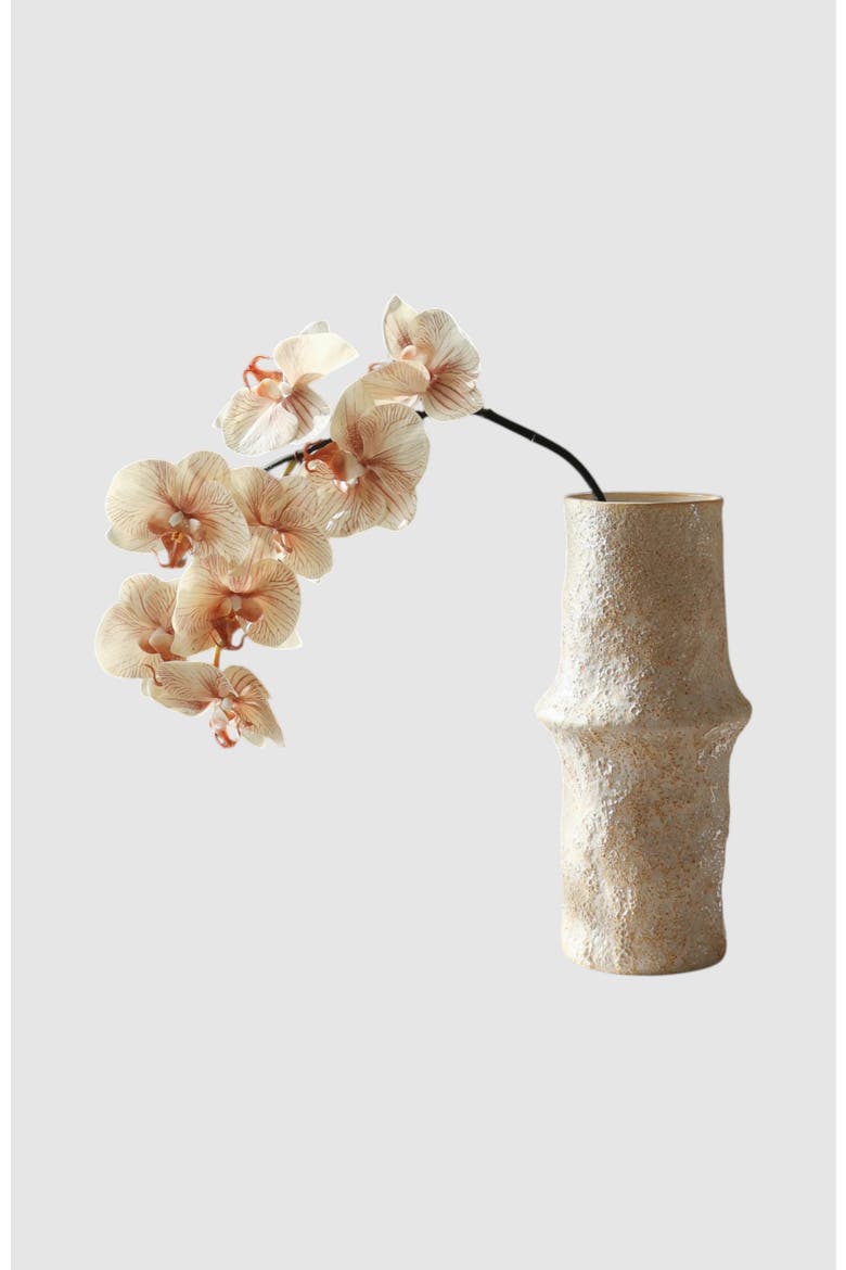 Beige Large Orchid Flower, Main, color, Beige