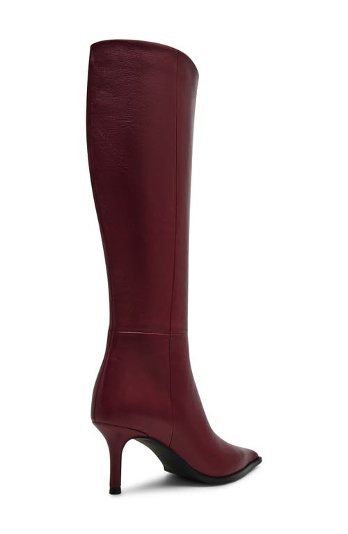 Steve Madden Lingo Pointed Toe Knee High Boot In Multi