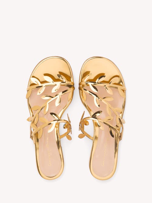 Shop Gianvito Rossi Flavia 05 Sandals In Gold