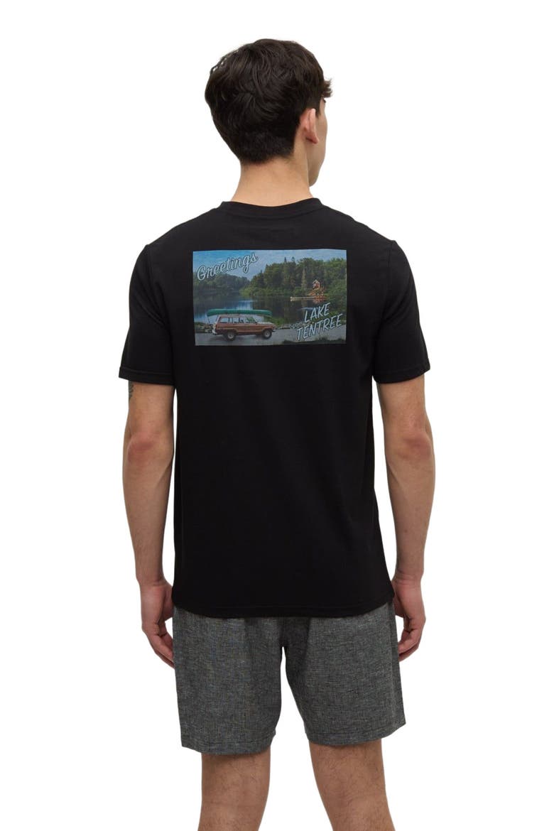 Lake Tentree T-Shirt, Alternate, color, Meteorite Black/Lake Day