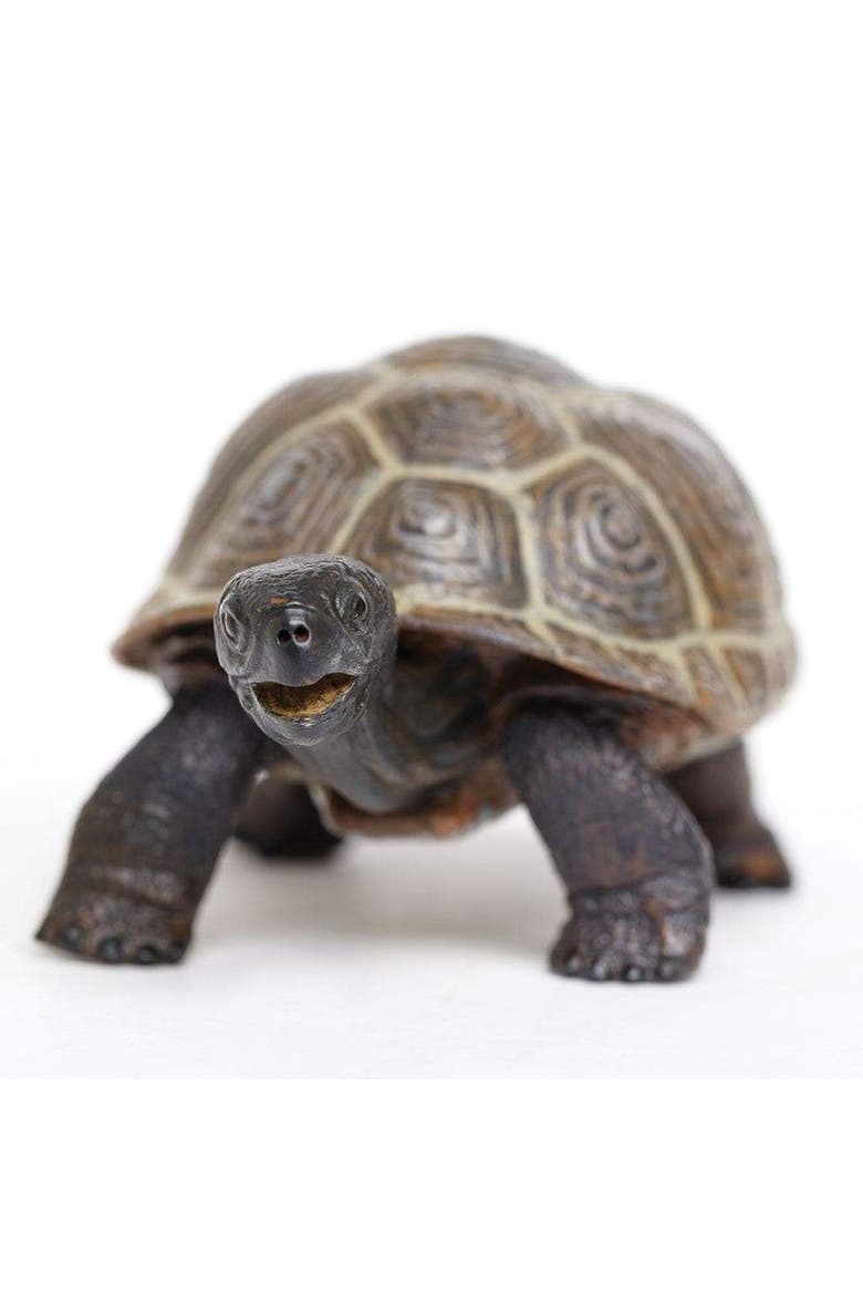 Tortoise Baby Toy, Alternate, color, No Color