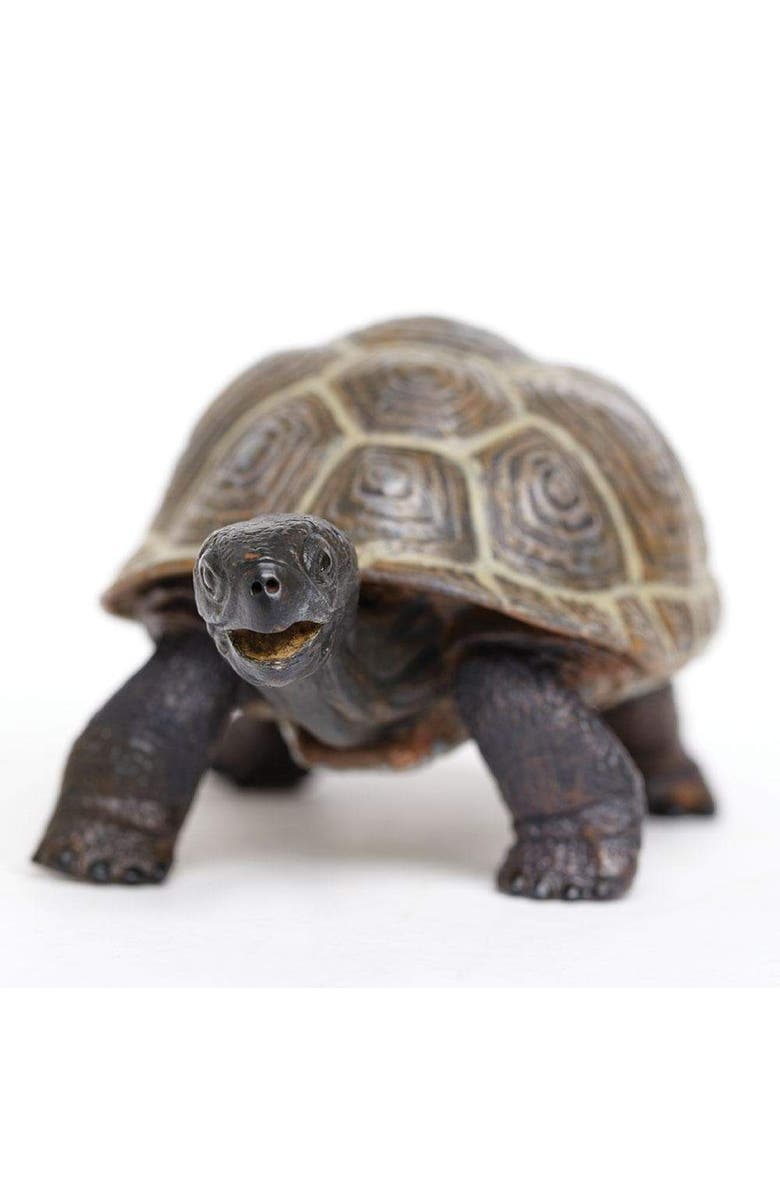 Safari Ltd. Tortoise Baby Toy, Alternate, color, NO COLOR