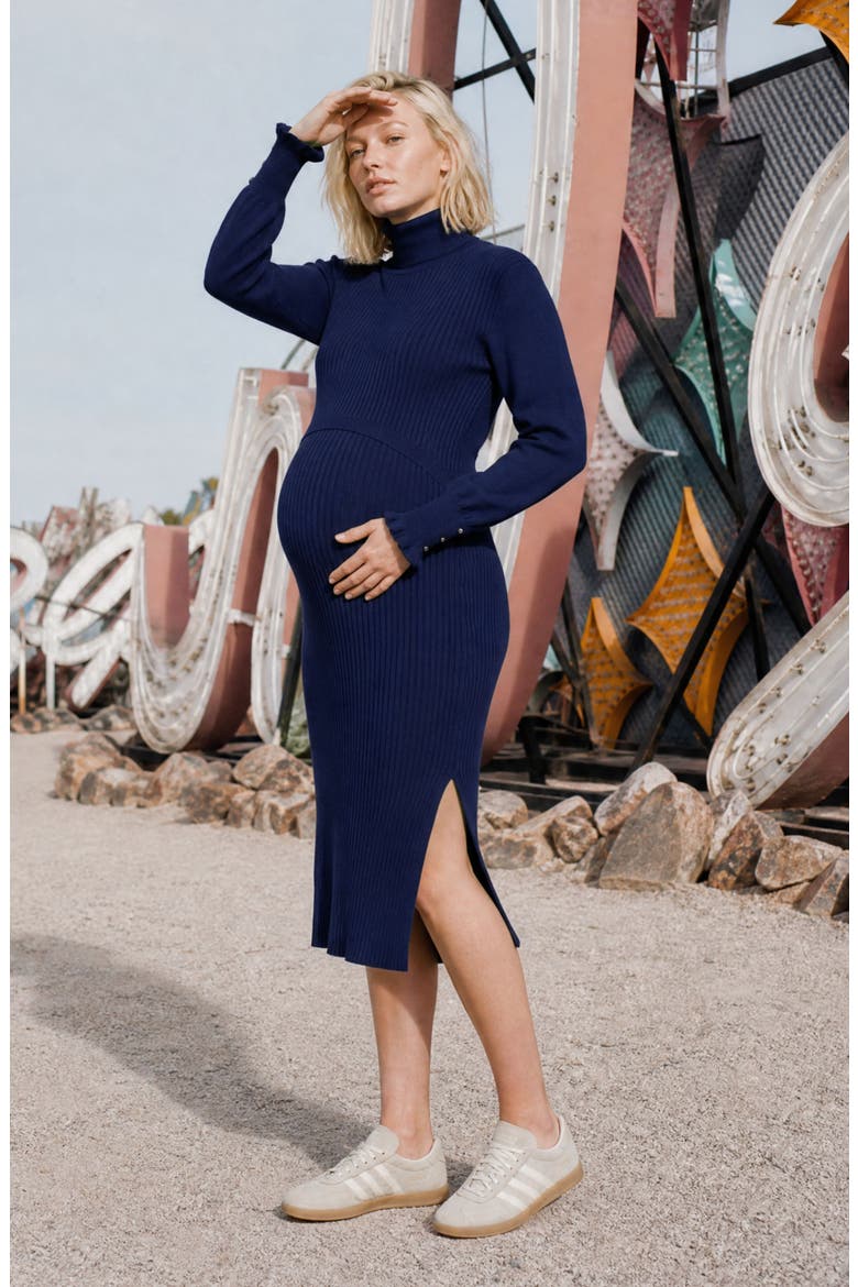 Maternity and Nursing Dress Adriana, Alternate, color, Navy