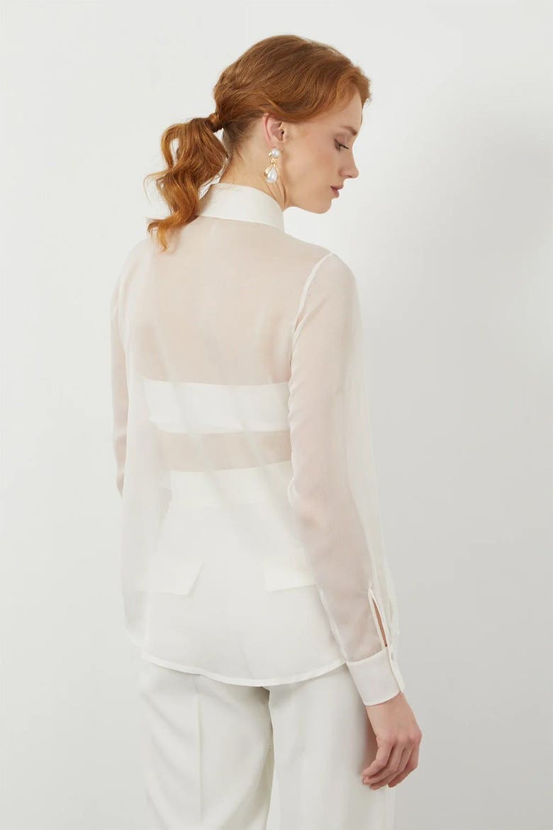 Sheer Ruffle Front Off-White Long-Sleeve Blouse, Alternate, color, Ecru