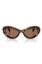  Havana / Dark Brown
