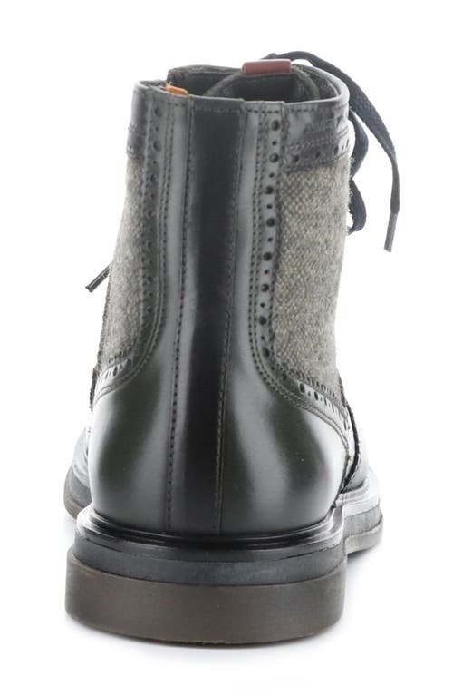 AMBITIOUS AMBITIOUS 12432 WINGTIP BOOT 