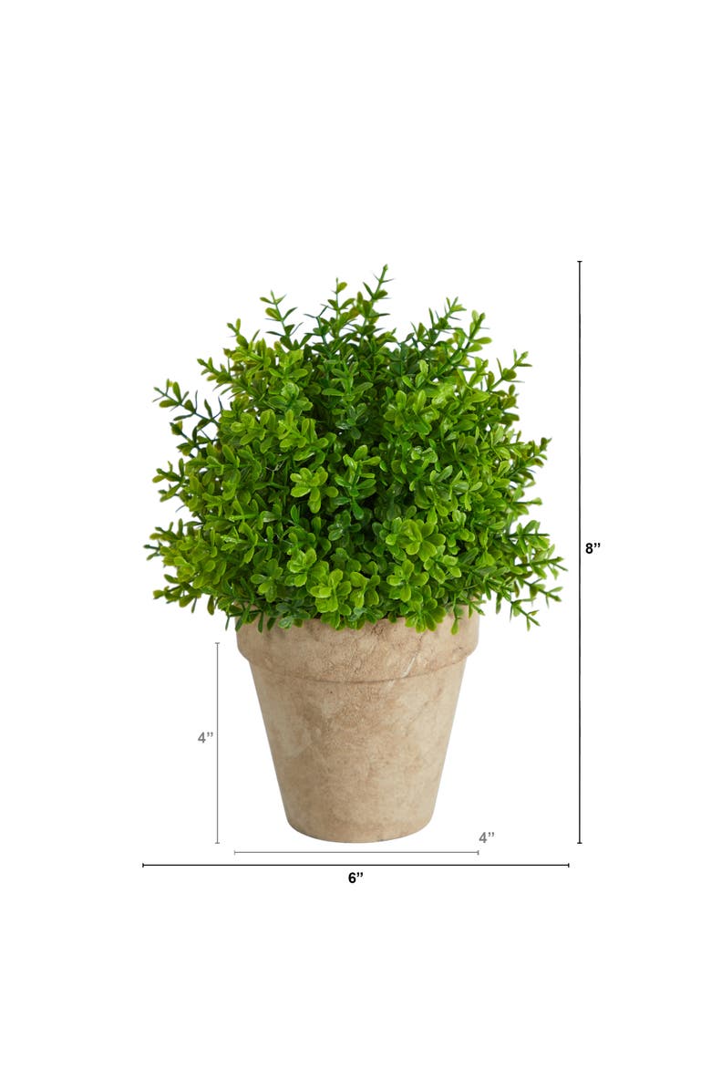 NEARLY NATURAL 8-in Boxwood Artificial Plant in Decorative Planter, Alternate, color, Green
