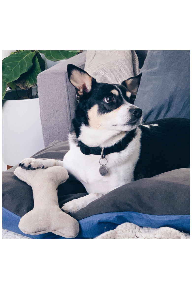 Organic Dog Toy for Gentle Chewers | Plush Hemp & Cotton Dog Bone | USA Made, Alternate, color, Ivory