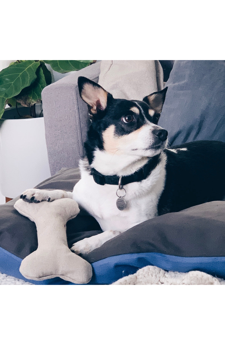 The Kind Pet Plush Hemp Dog Bone Toy for Gentle Chewers, Alternate, color, Ivory