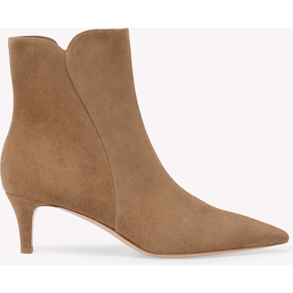 Gianvito Rossi 55mm Levy Boots In Brown