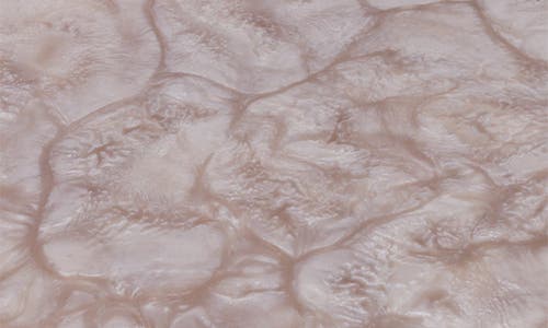 Tiramisu Embellished Chips & Dip Board In Gray
