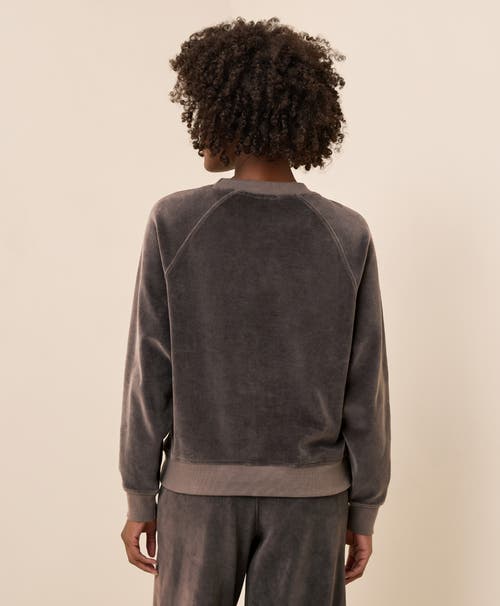 Pact Pure Velour Crew Sweatshirt In Multi