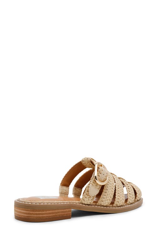 Dolce Vita Dv By Fyona Mule Sandal In Raffia