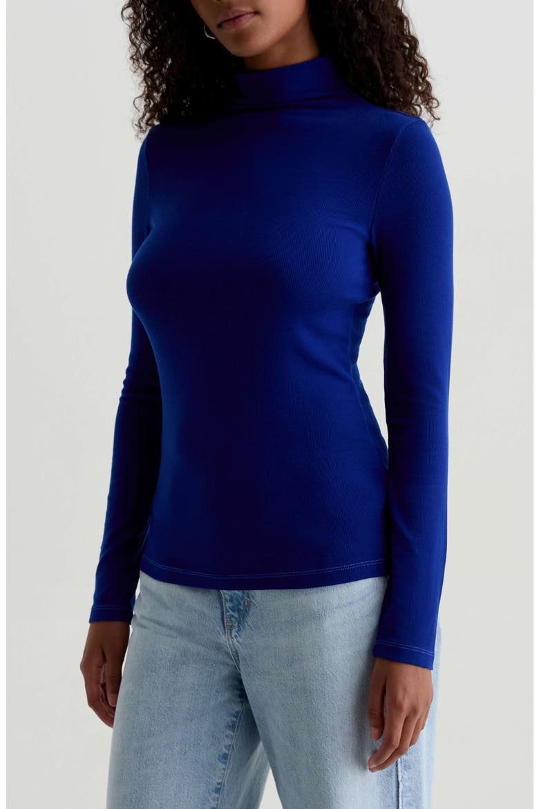 Chels Ribbed Turtleneck Sweater, Alternate, color, ENDLESS BLUE