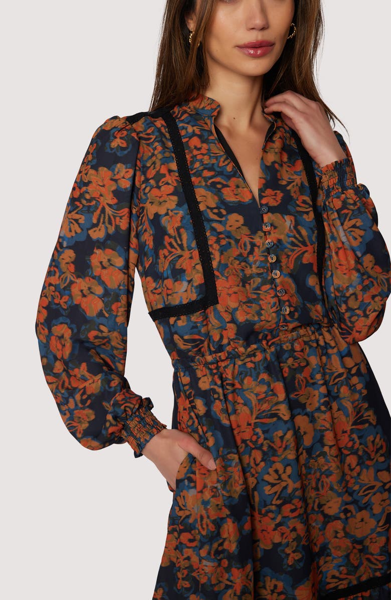 Lost + Wander Embers Bloom Long Sleeve Tiered Dress, Alternate, color, 
