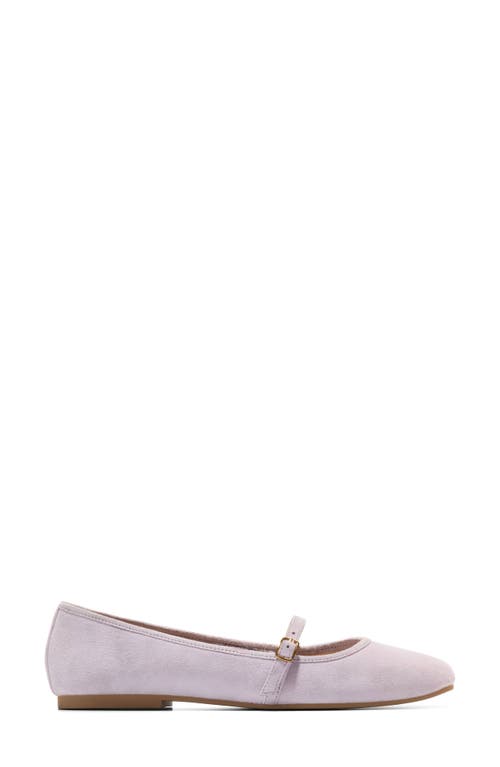 Cole Haan Yelena Mary Jane Ballet Flat In Thistle Suede
