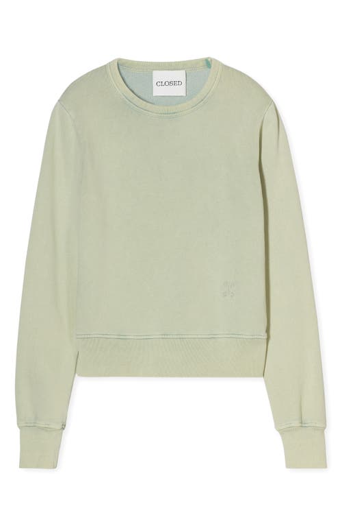 Closed Crewneck Organic Cotton Sweatshirt In Green