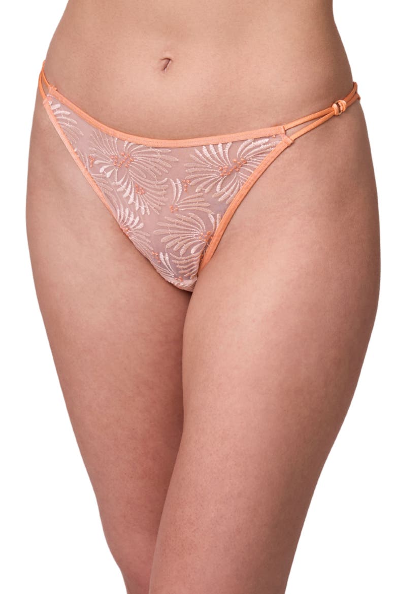 Tangerine Dream Embroidered Sheer Mesh Bikini Briefs, Main, color, CHAMPAGNE/ TANGERINE