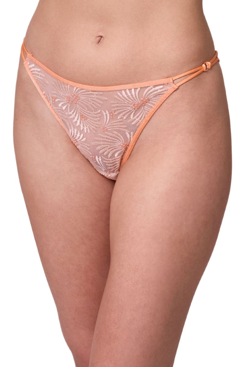 Montelle Intimates Tangerine Dream Embroidered Sheer Mesh Bikini Briefs, Main, color, 