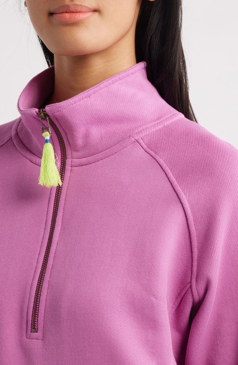 Hatley Half Zip Pullover, Alternate, color, 