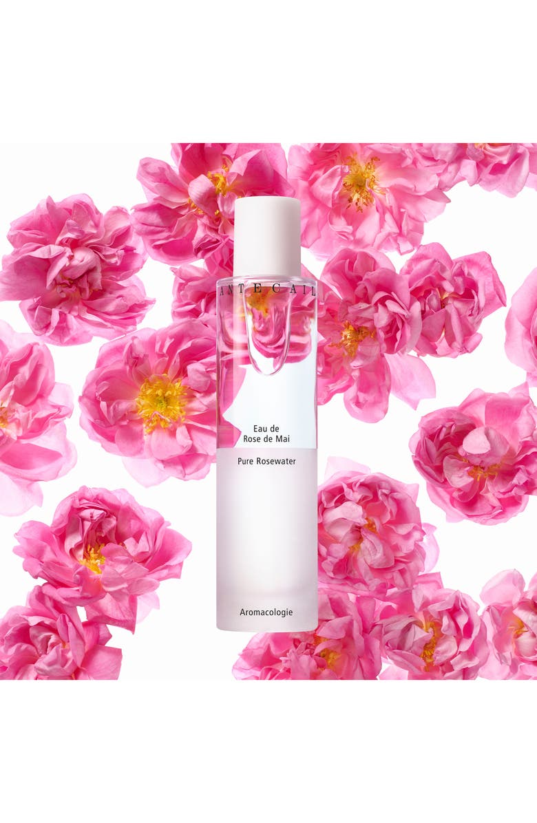 Chantecaille Pure Rosewater Face Mist, Alternate, color, 