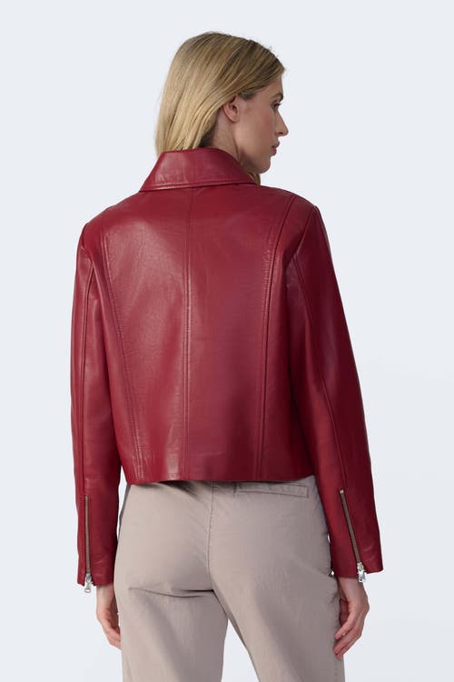 Furniq Uk Llc Daisy Leather Jacket In Red