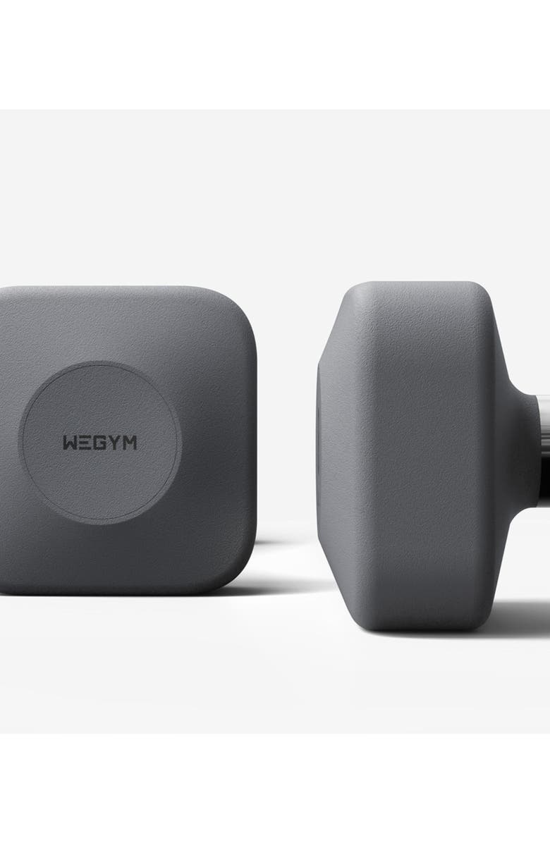 WeGym ProGrip Dumbbells, Alternate, color, Slate