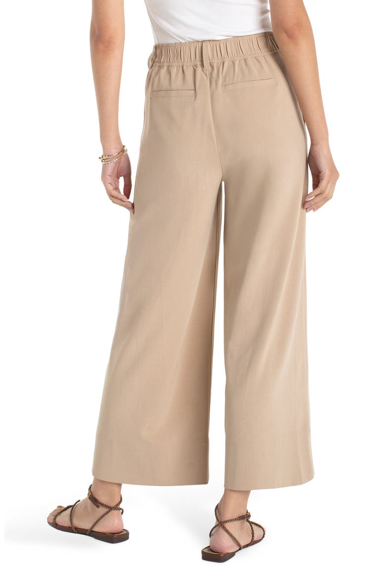 Pleated High Waist Ankle Wide Leg Pants, Alternate, color, CAPPUCCINO