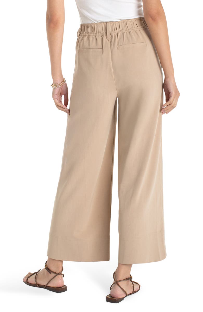Liverpool Los Angeles Pleated High Waist Ankle Wide Leg Pants, Alternate, color, 