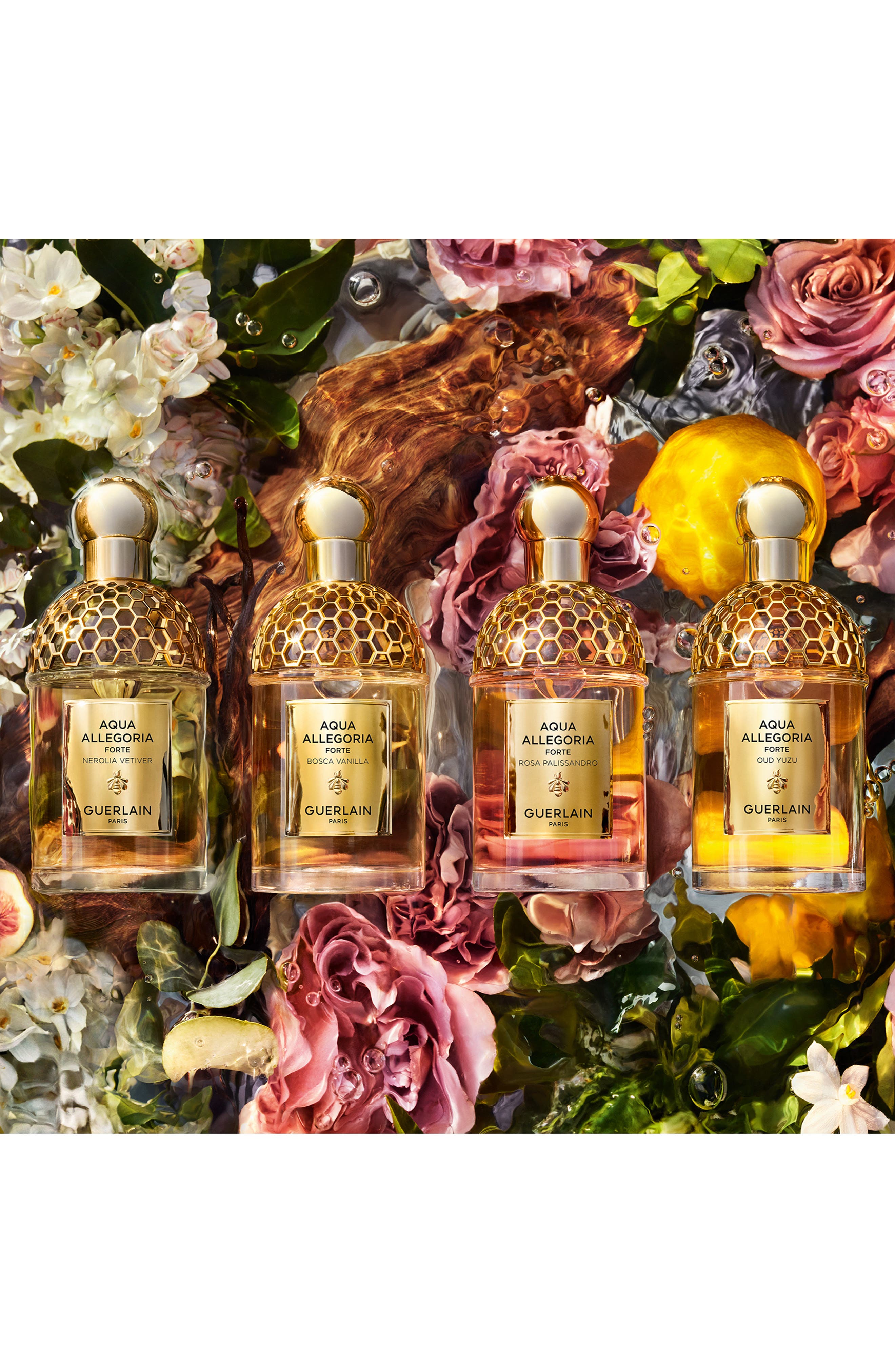 Aqua Allegoria Forte Bosca Vanilla Eau de Parfum (Women) | Nordstrom