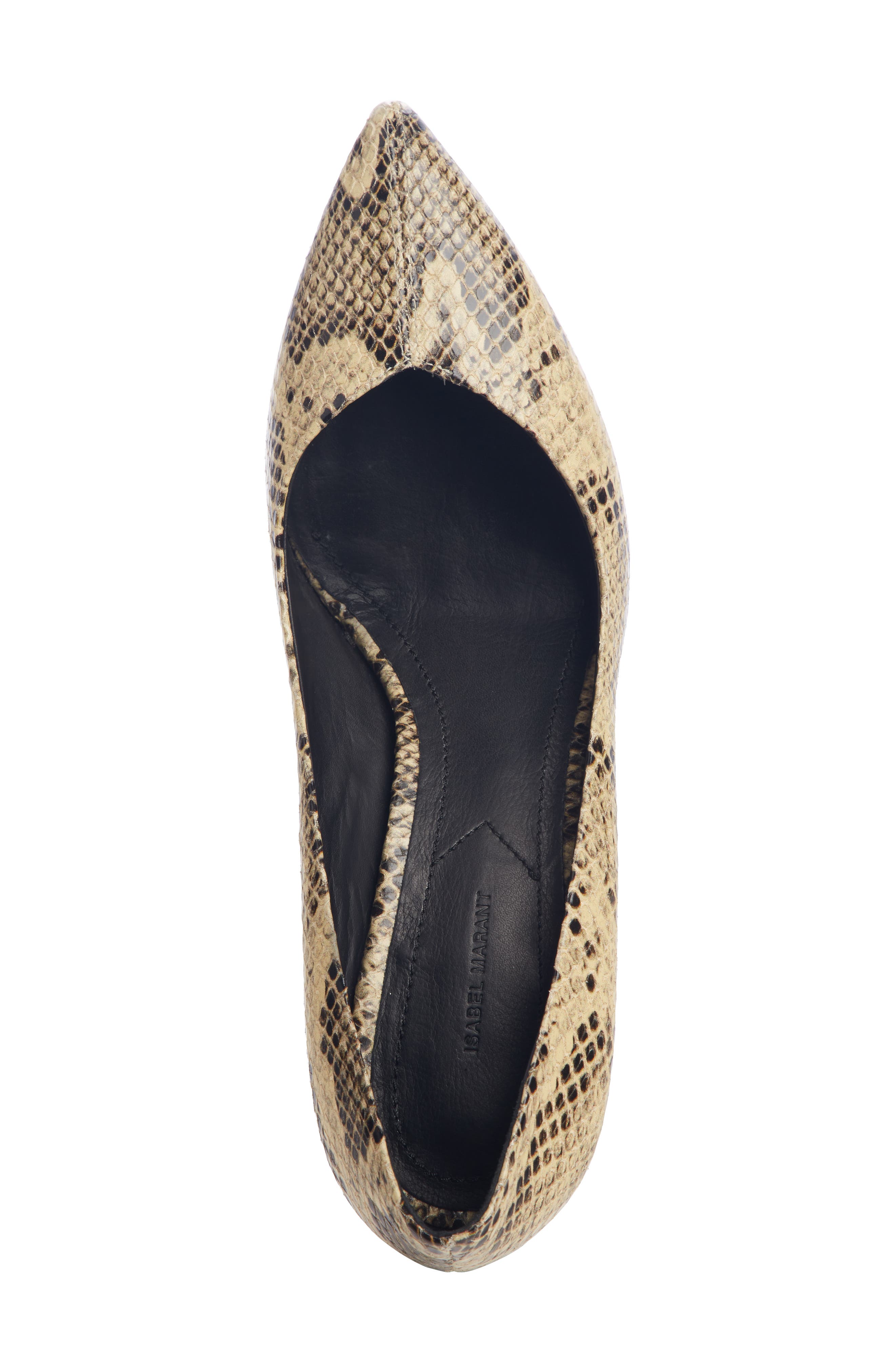 Isabel Marant Pully Pointy Toe Pump, Alternate, color, 