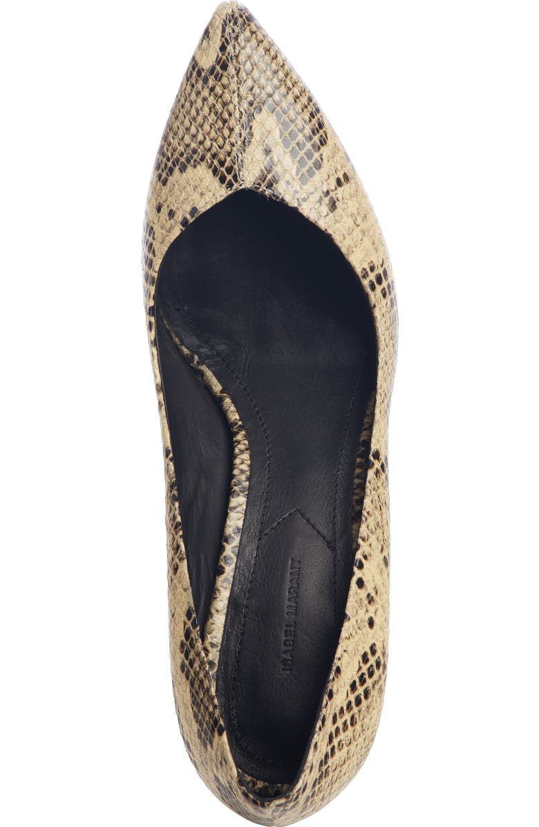 Isabel Marant Pully Pointy Toe Pump, Alternate, color,