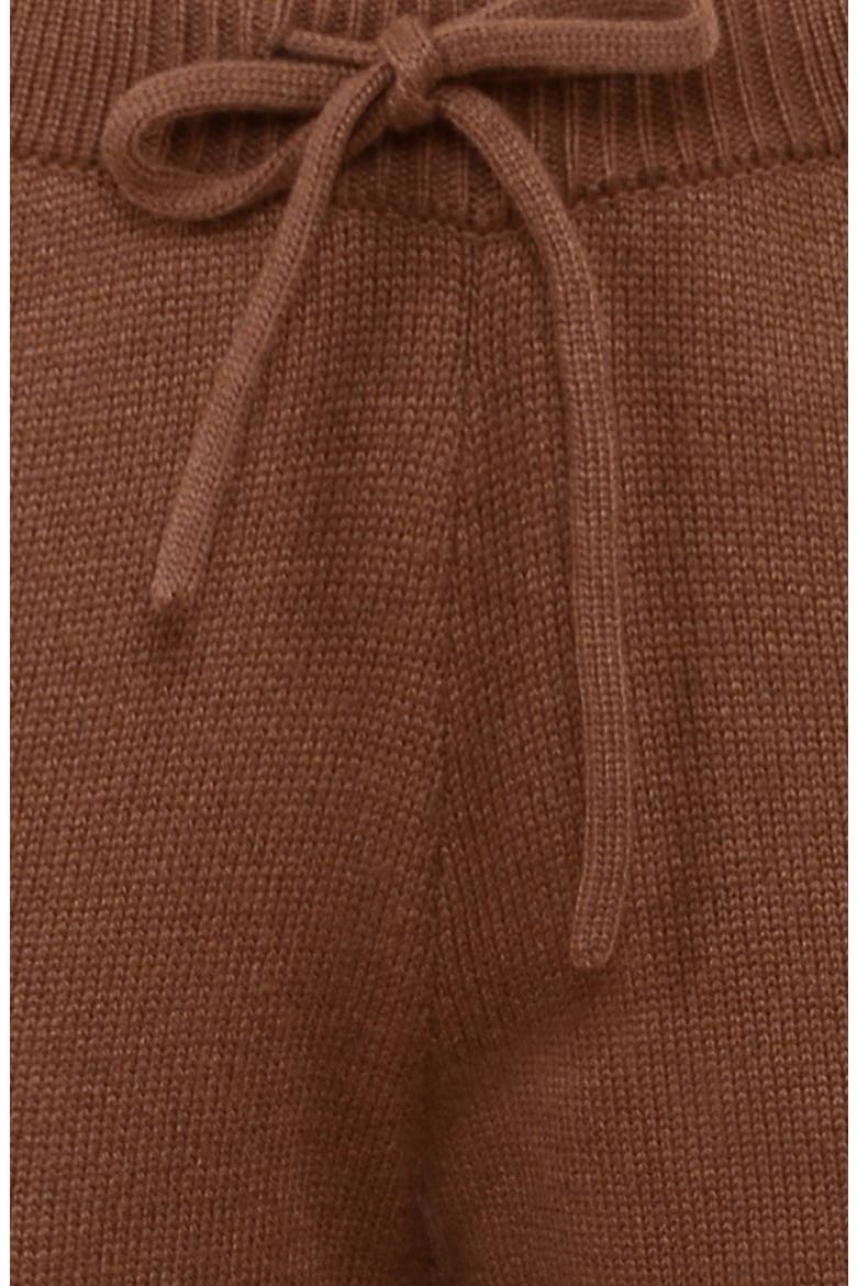 Chelsea Knit Pants, Alternate, color, CHESTNUT