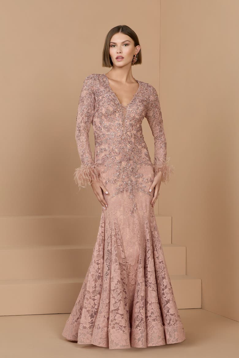 Long Sleeve Feather Embellished Mermaid Gown, Alternate, color, Rose