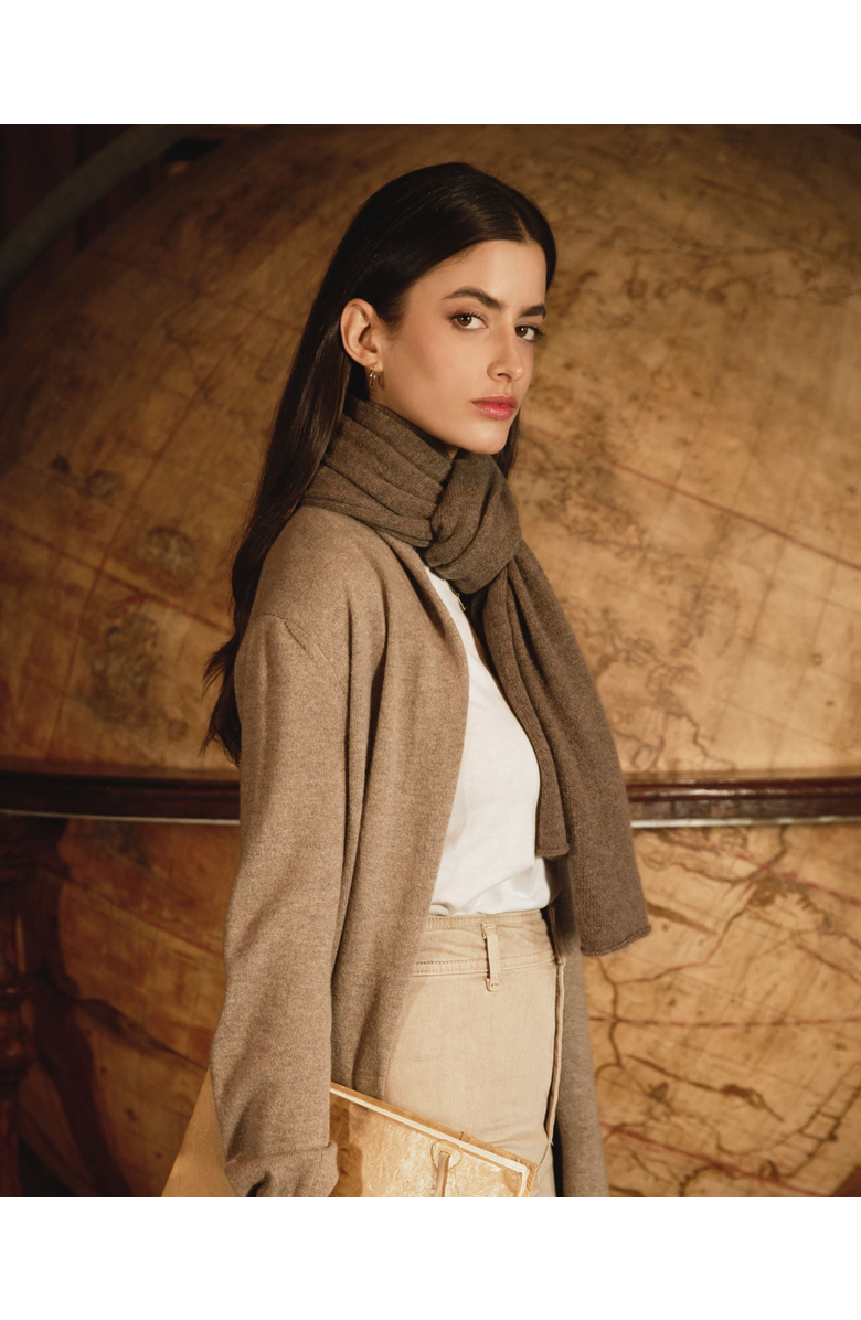 Monticelli Cashmere Pure Cashmere Cloud-Soft Scarf, Alternate, color, Brown