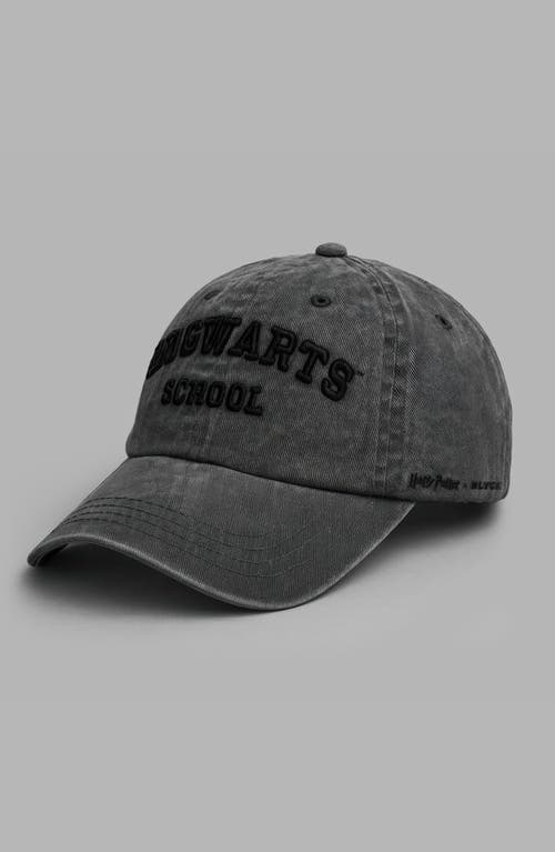 Blvck Harry Potter X  'hogwarts' Cap In Brown