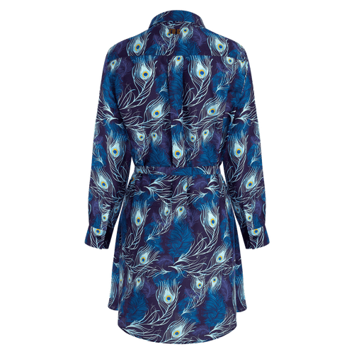 Vilebrequin Eyes Of The Wind Cotton-silk Shirtdress In Blue