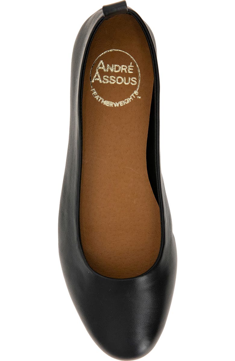 André Assous Nalah Ballet Flat, Alternate, color,